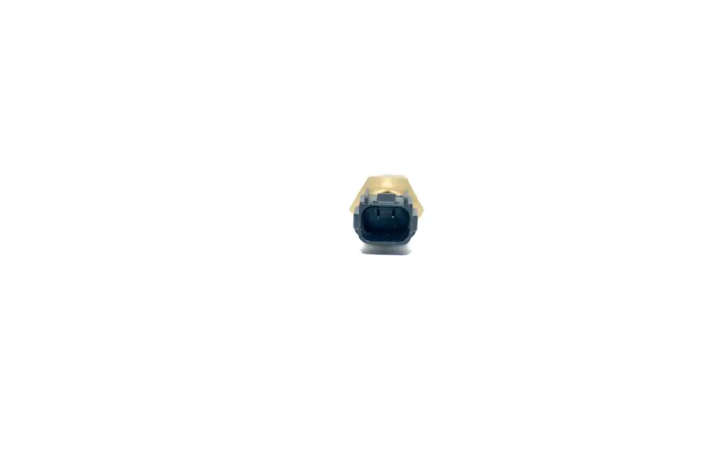 230.webp