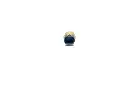 230.webp