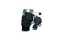 237.webp